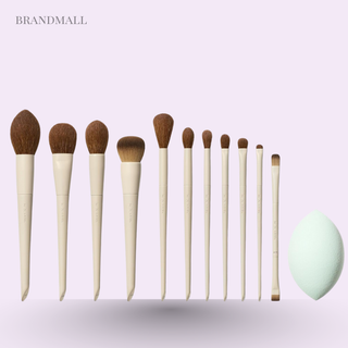 Morphe x Ariel Signature Look 12-Piece Face & Eye Brush Set – Professional Makeup Brushes for Flawless Application – Buy Morphe Brushes at BrandMall India